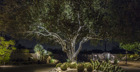 arizona-desert-landscape-lighting arizona-desert-landscape-lighting