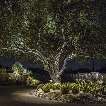 Protected: Learn Night Light Full Course – Season 1